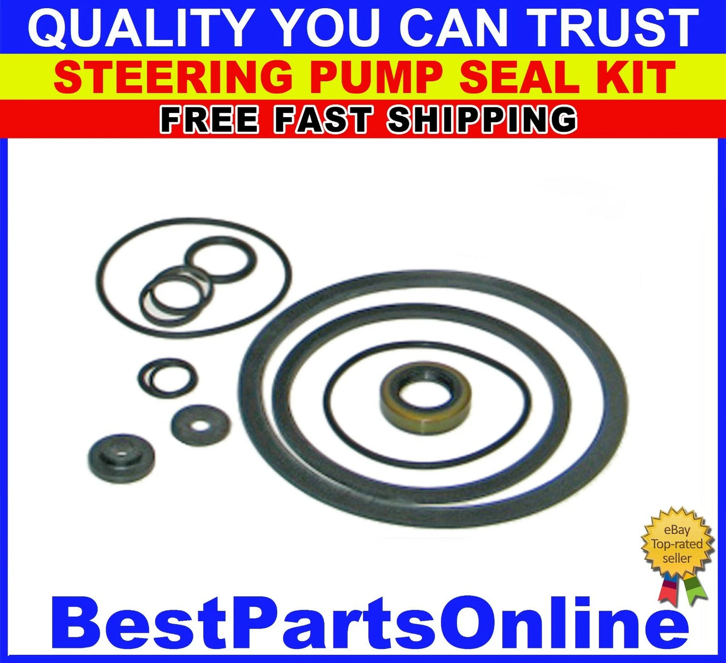 Power Steering Pump Seal Kit for Ford F-100