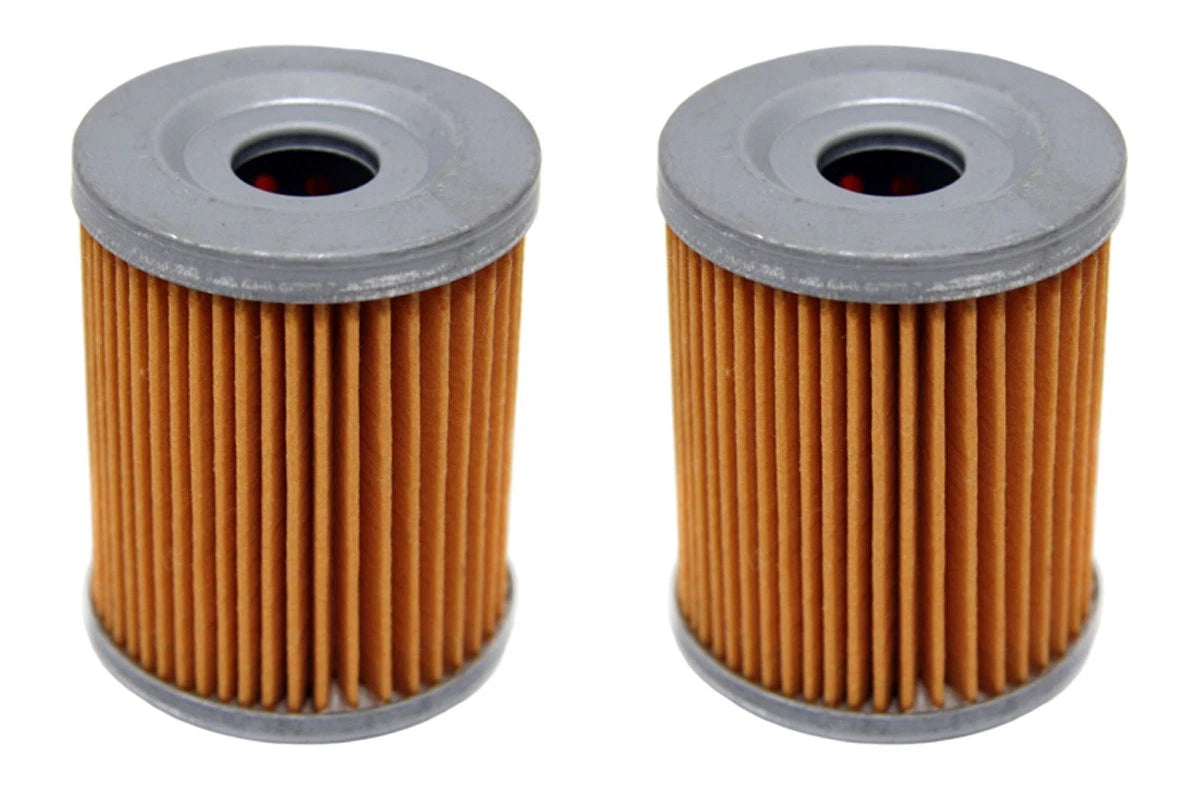 2 x Oil Filters for Arctic Cat 250 & 300 Utility (1998–2005)