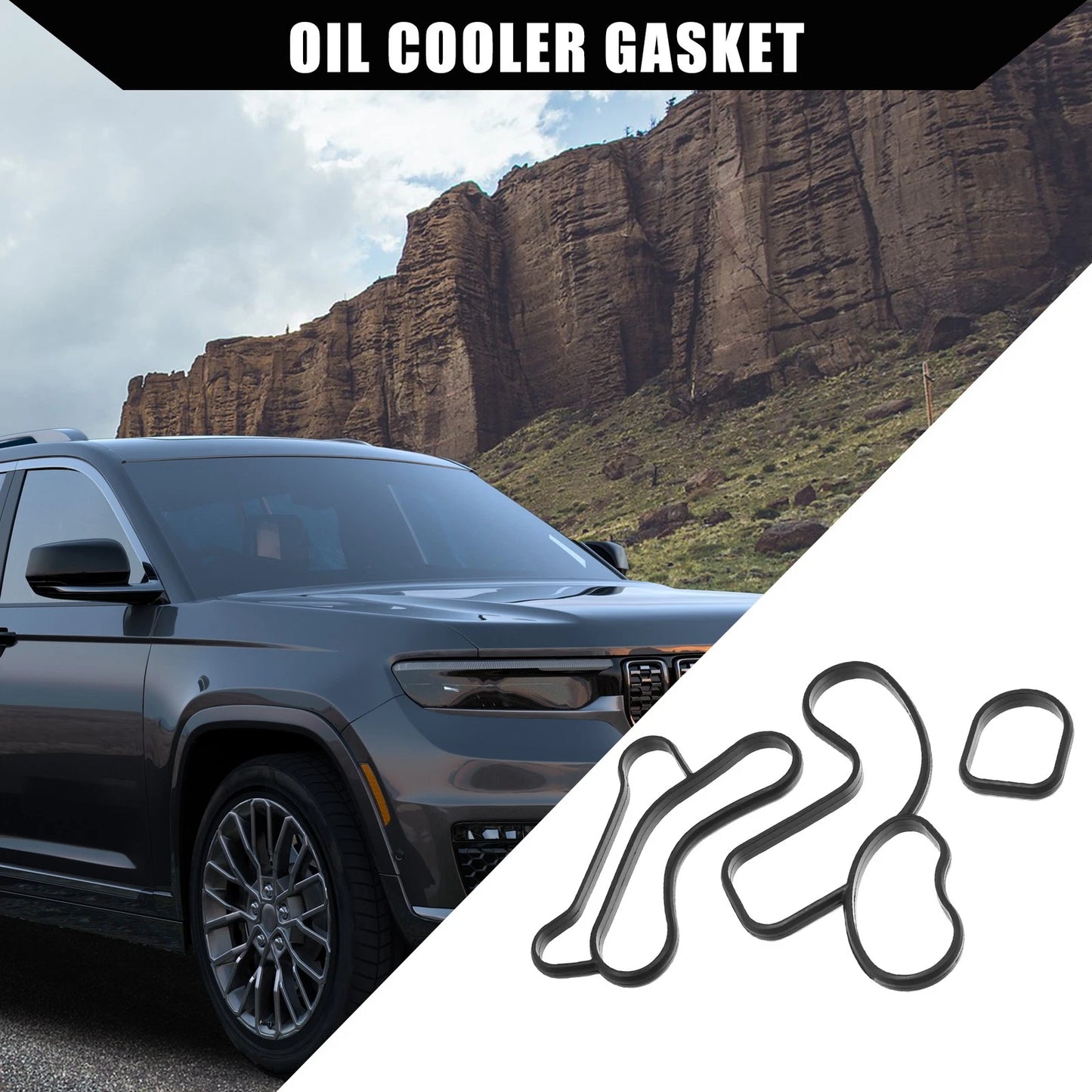 Oil Cooler Gasket for BMW 203i (2011-2013)