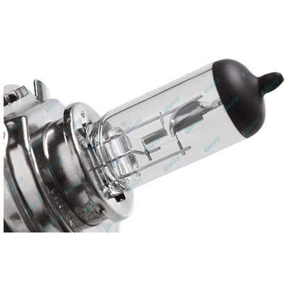 LH+RH Universal Headlights Pair w/Globe for Nissan Navara/Holden Rodeo 1981-1997