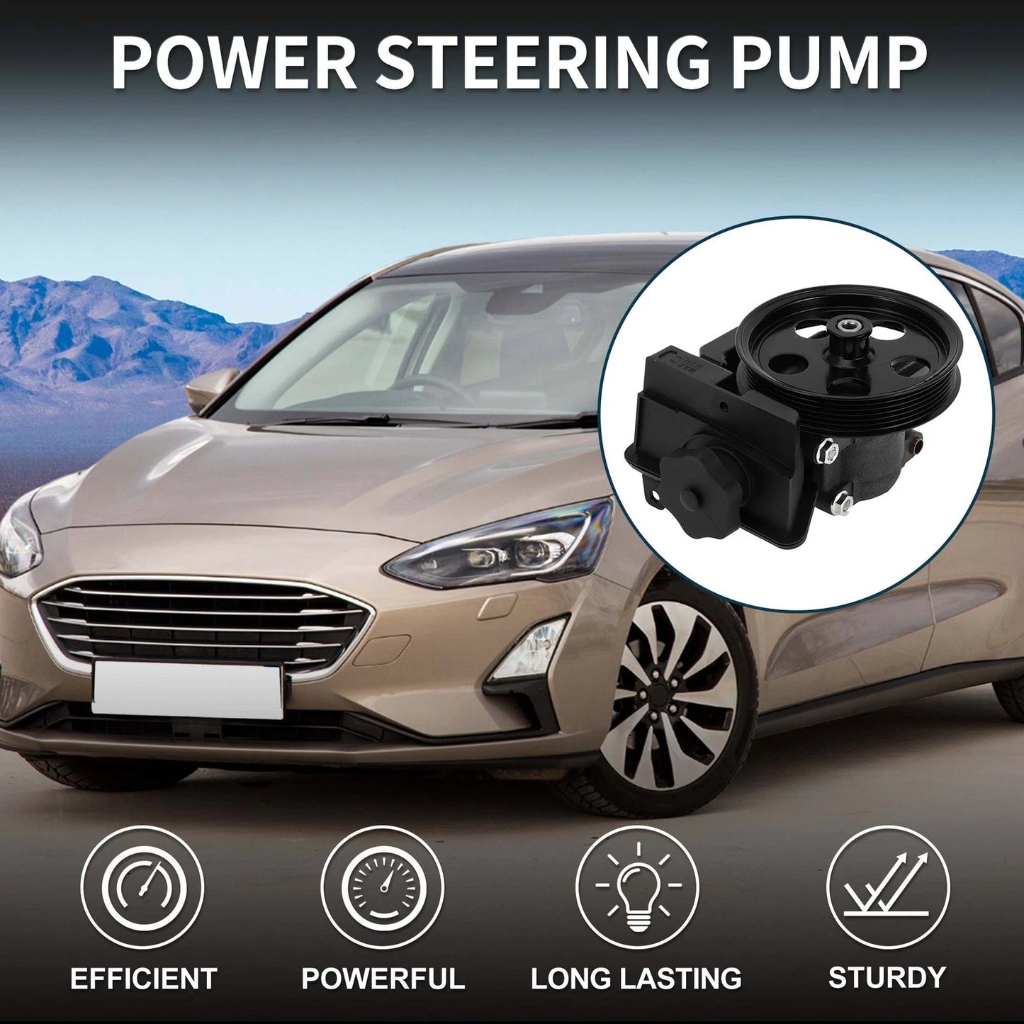 Power Steering Pump & Pulley for Ford Focus 2.0L L4 (2006-2011)