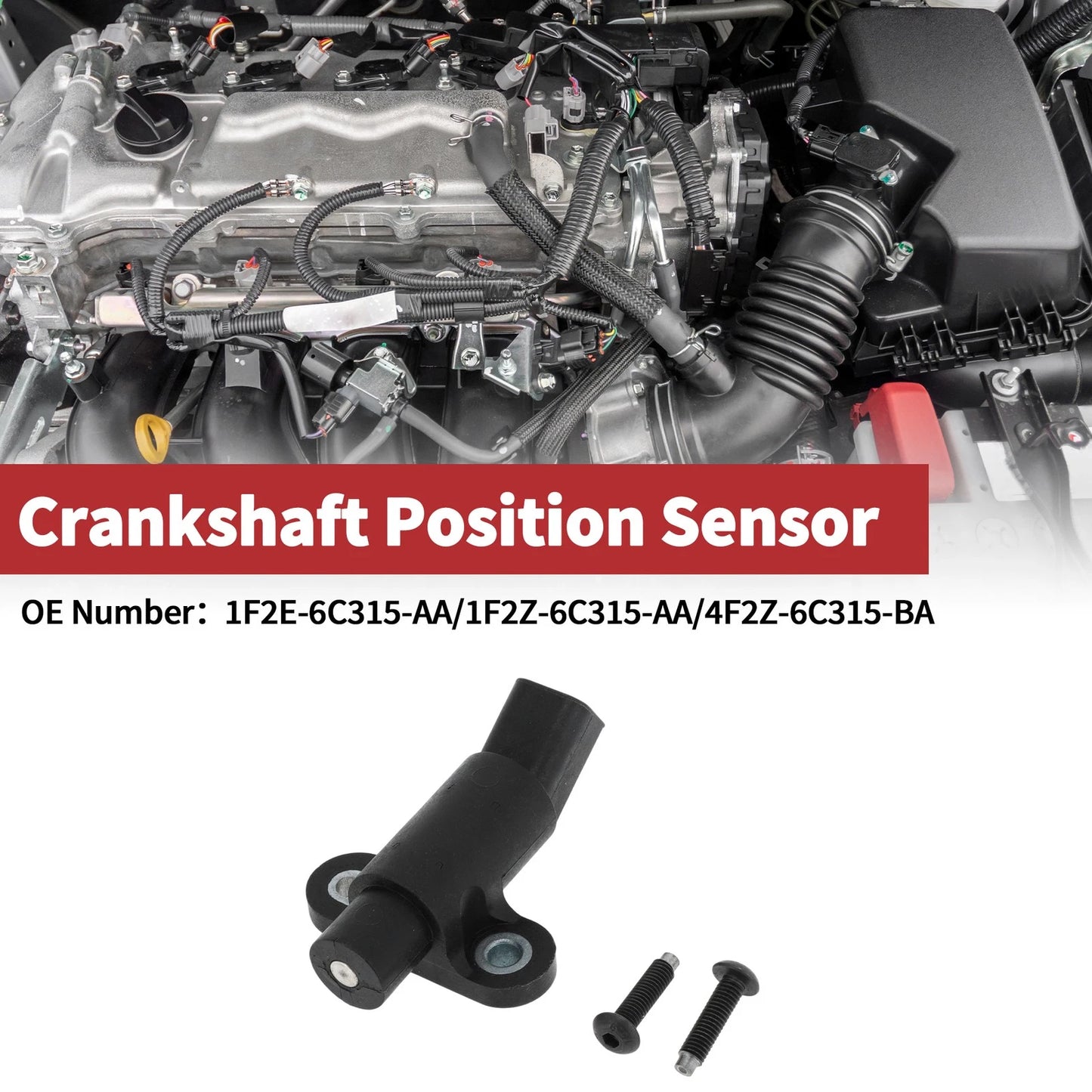 Crankshaft Position Sensor for Ford F-150 XL XLT 4.2 (1997-2008) 1 Pc