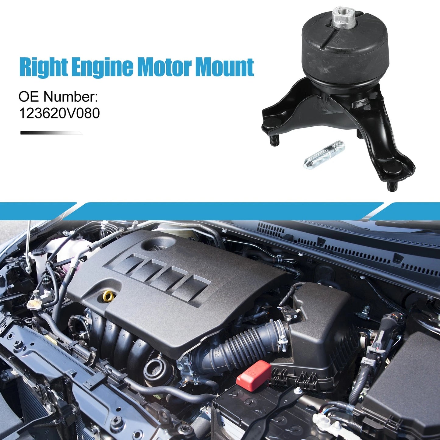 Engine Motor Mount for Toyota Camry (2011-2016)