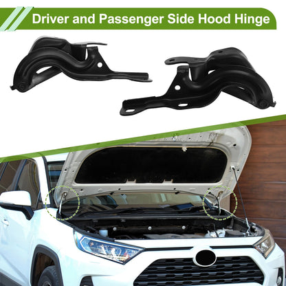 Hood Hinges for Chevrolet Malibu (2013-2015)