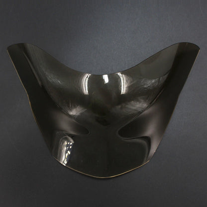 Smoke Front Headlight Guard Lens for Kawasaki Versys X300 (2014-2017)