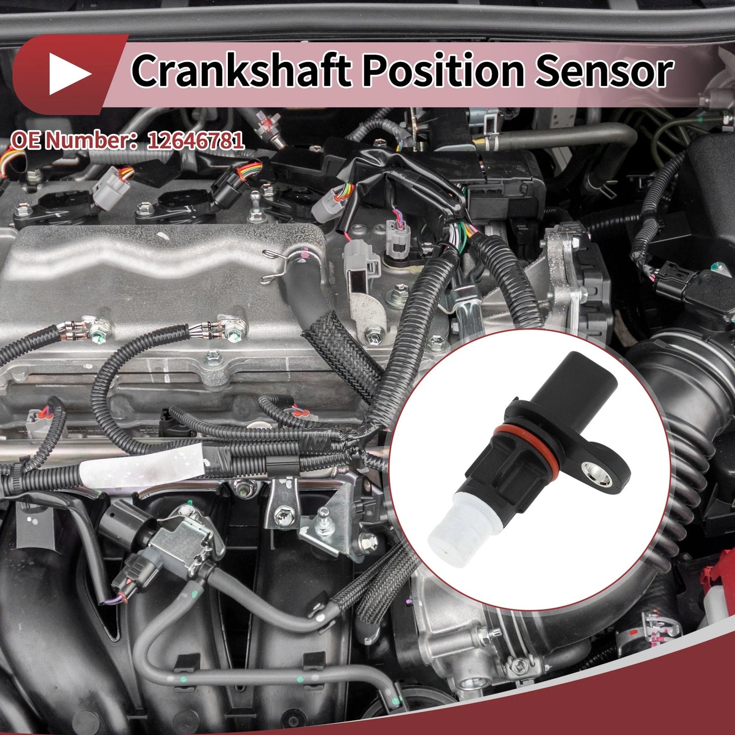 Crankshaft Position Sensor for Chevrolet Colorado 3.6 (2017-2022)