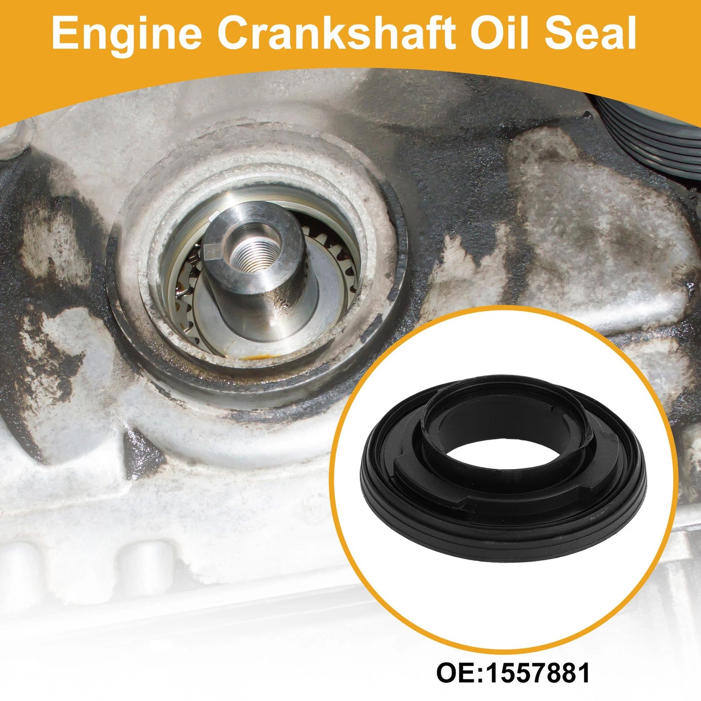 Front Crankshaft Oil Seal for Ford Transit