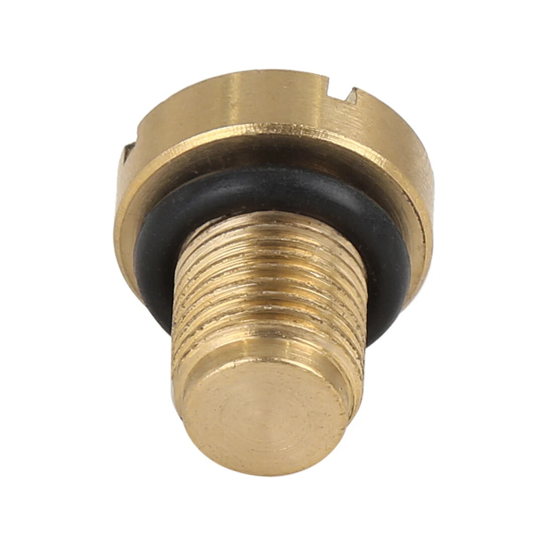 Radiator Coolant Expansion Tank Bleeder Screw for BMW X1 X3 X5 (2011-2023)