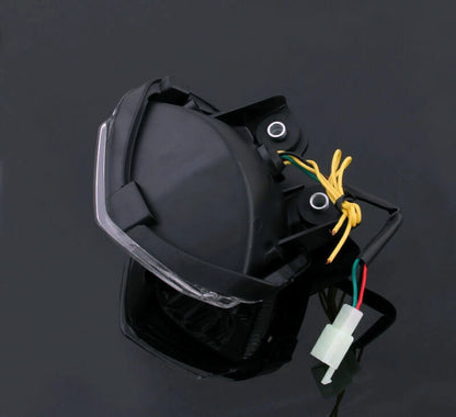 Tail Light & Turn Signal for Kawasaki Ninja 250R EX250 (2008-2012)