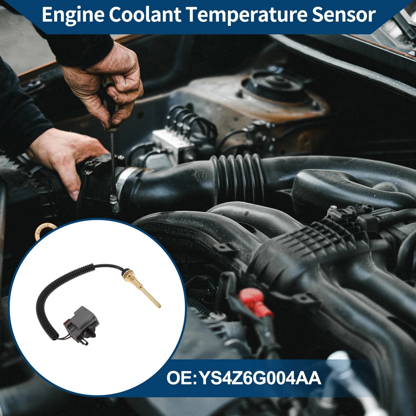 Engine Coolant Temperature Sensor for Ford (YS4Z6G004AA)