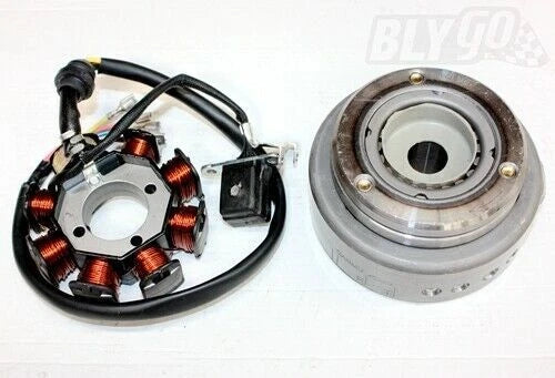 8 Poles Magneto Stator for 200cc 250cc PIT Quad Dirt Bike ATV