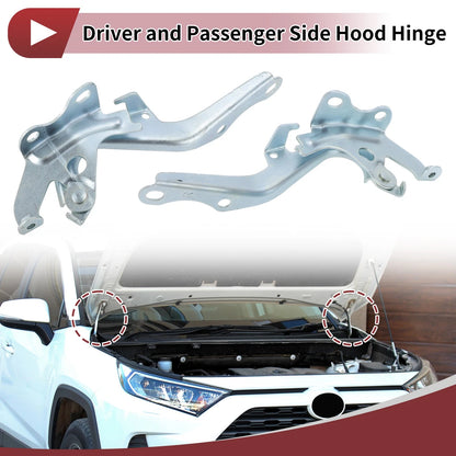 Hood Hinges / 1 Pair / Toyota Sienna for Toyota Sienna (2011–2020)