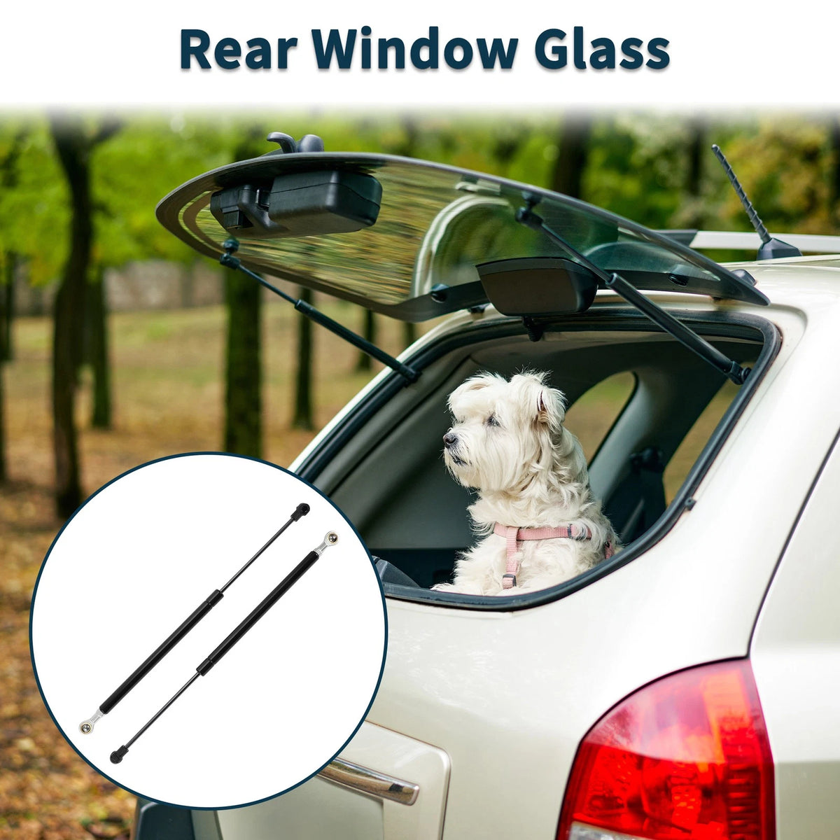 Rear Window Lift Supports for Nissan Armada (2005-2015)