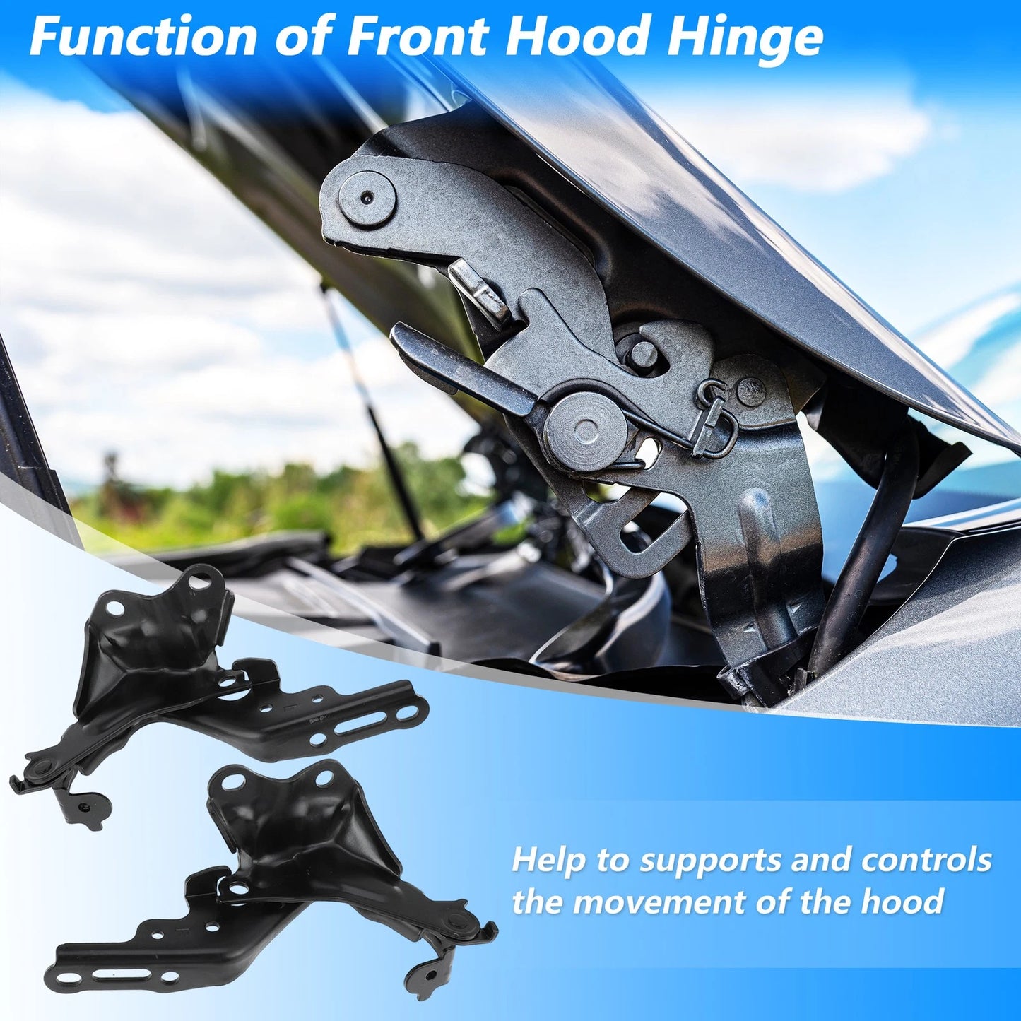 Hood Hinge for Lexus IS250 IS350 (2006-2015)