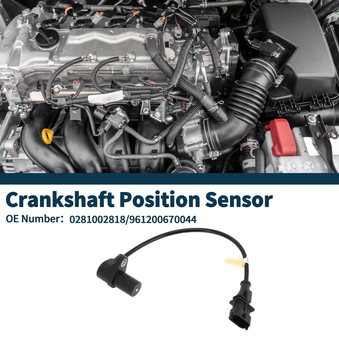 Crankshaft Position Sensor for VOLVO VM260 VM310 (2006-2011) 1 Pc
