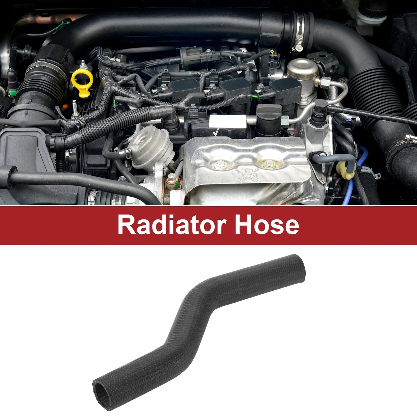 Radiator Hose for Toyota Solara 2.4L 4CYL (2004–2008)