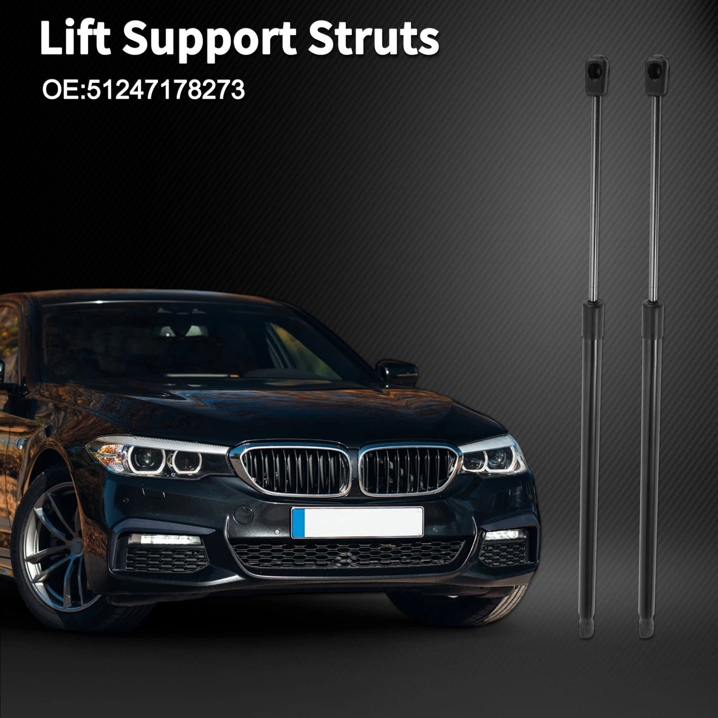 Tailgate Lift Supports Struts for BMW 5 Series E61 (2004-2010)
