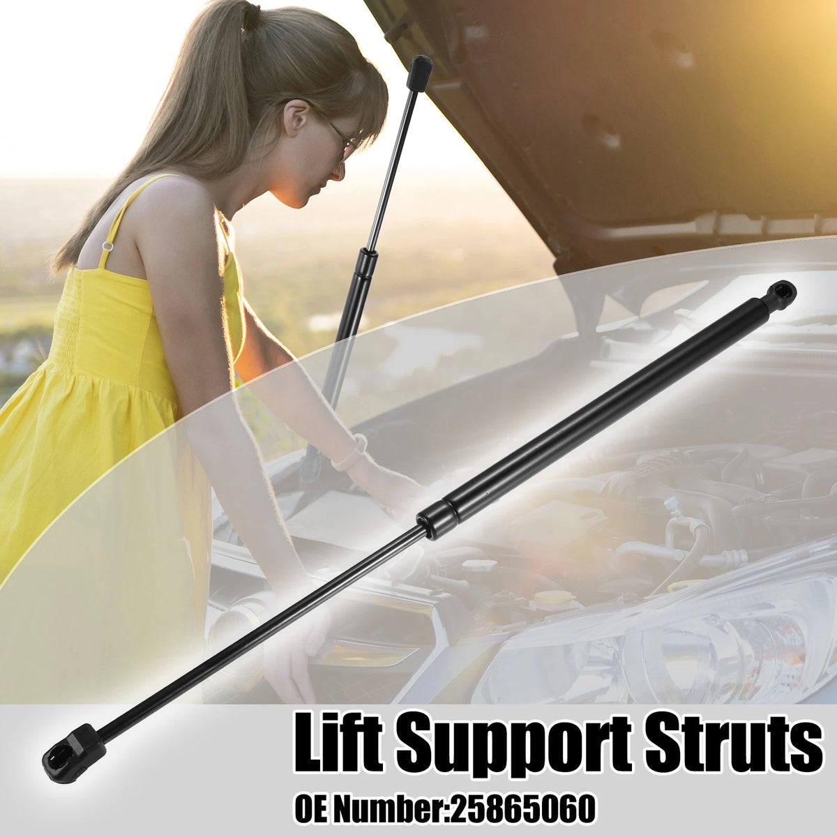 Front Hood Lift Support Gas Struts for Chevrolet Malibu Black (2008-2012)