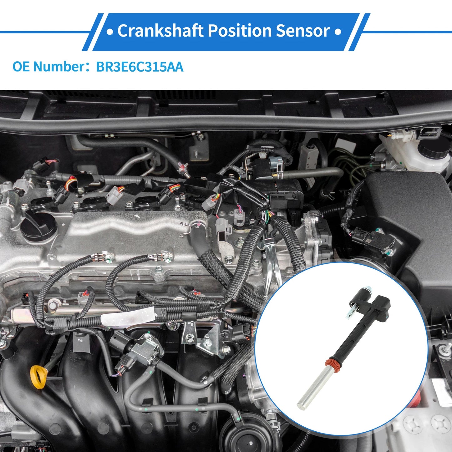 Crankshaft Position Sensor for Ford F-150 5.0L (2011-2017) 1 x Sensor