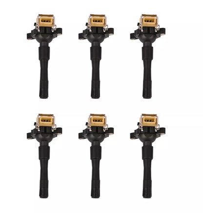 Set of 6 Ignition Coils for BMW 320Ci 320i 523i 528i 530i M3 X5 Z3 (2000-2006)