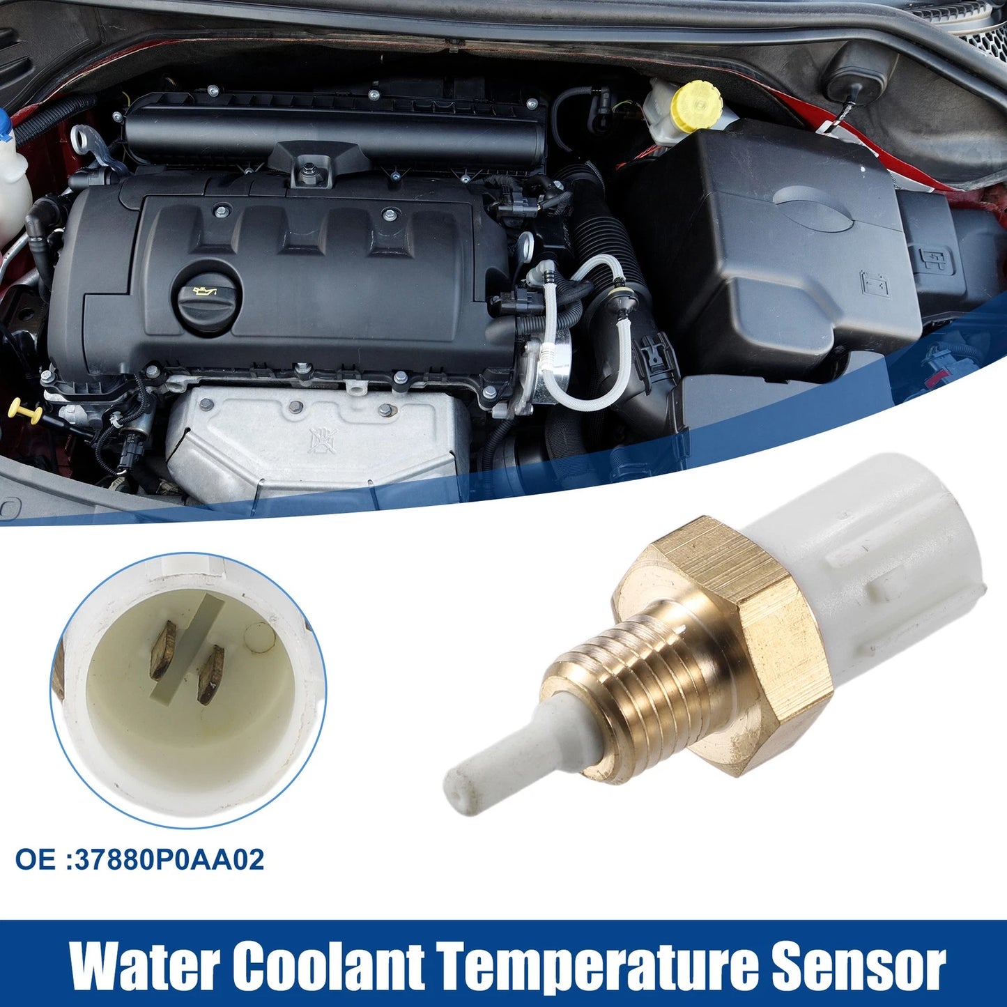 Coolant Temperature Sensor for Honda Accord (1994-2002)