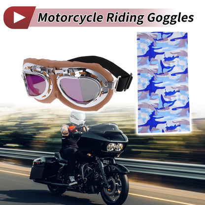 Goggles Multicolour Lens Brown Frame PC Sunglasses for Motorcycle
