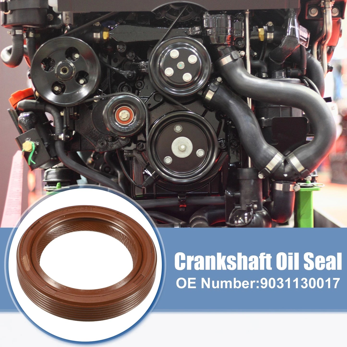 Crankshaft Oil Seal for Toyota RAV4, Scion (1996-2004)