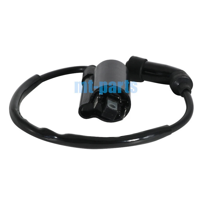 Ignition Coil for SMC ATV Barossa Jumbo 300 301 302, RAM, Razzer 300