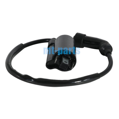 Ignition Coil for SMC ATV Barossa Jumbo 300 301 302, RAM, Razzer 300