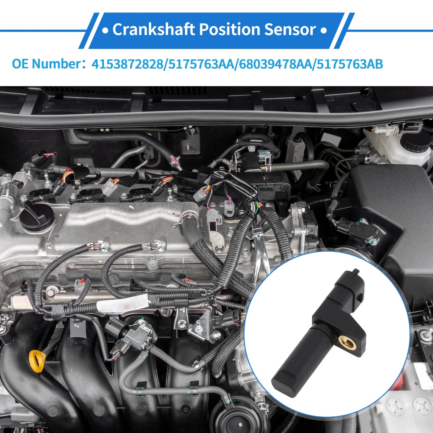 Crankshaft Position Sensor for Jeep Grand Cherokee Diesel (2007-2009)