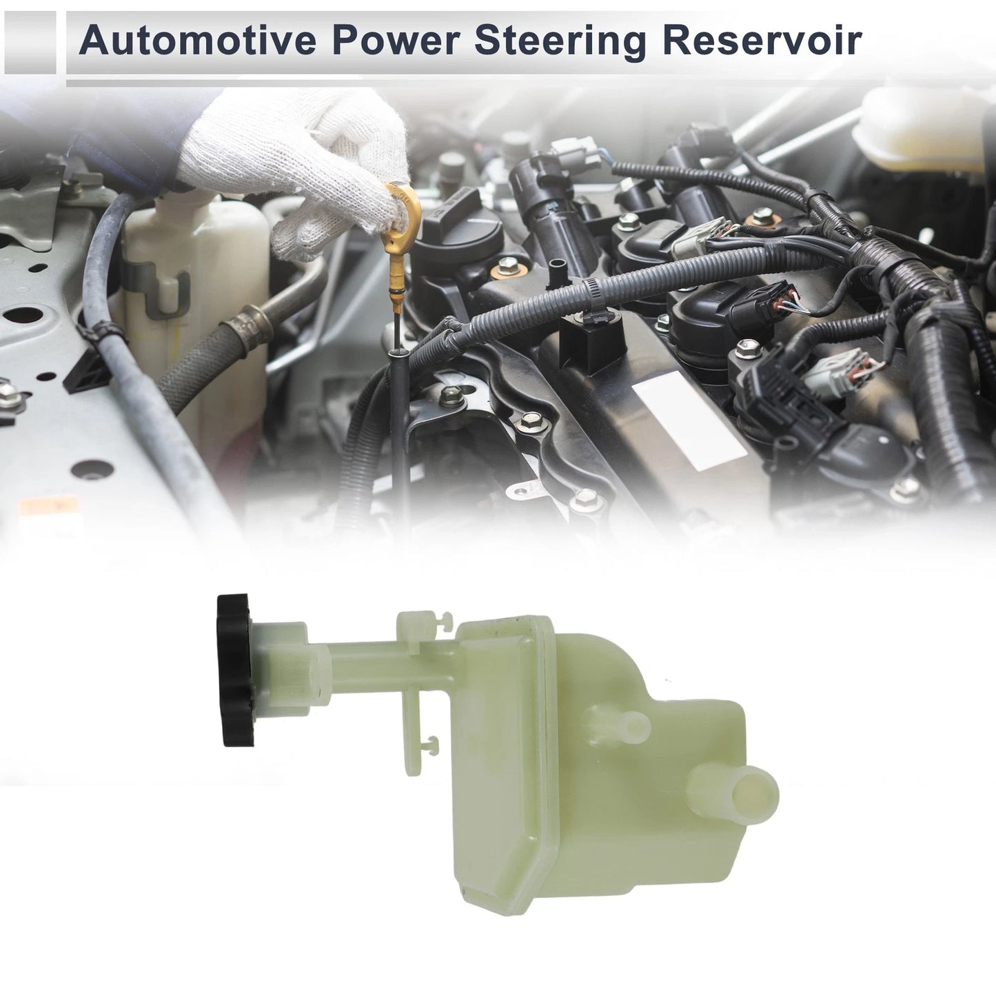 Power Steering Reservoir for Ford Ecosport (2002)