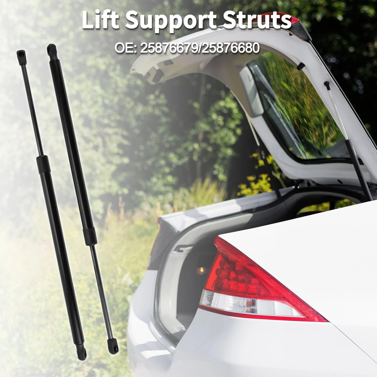 Rear Hatch Lift Supports Struts for Chevrolet Equinox Sport Utility