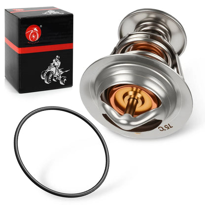 Thermostat and O-ring for Honda VTR1000F Super Hawk (1997–2005)