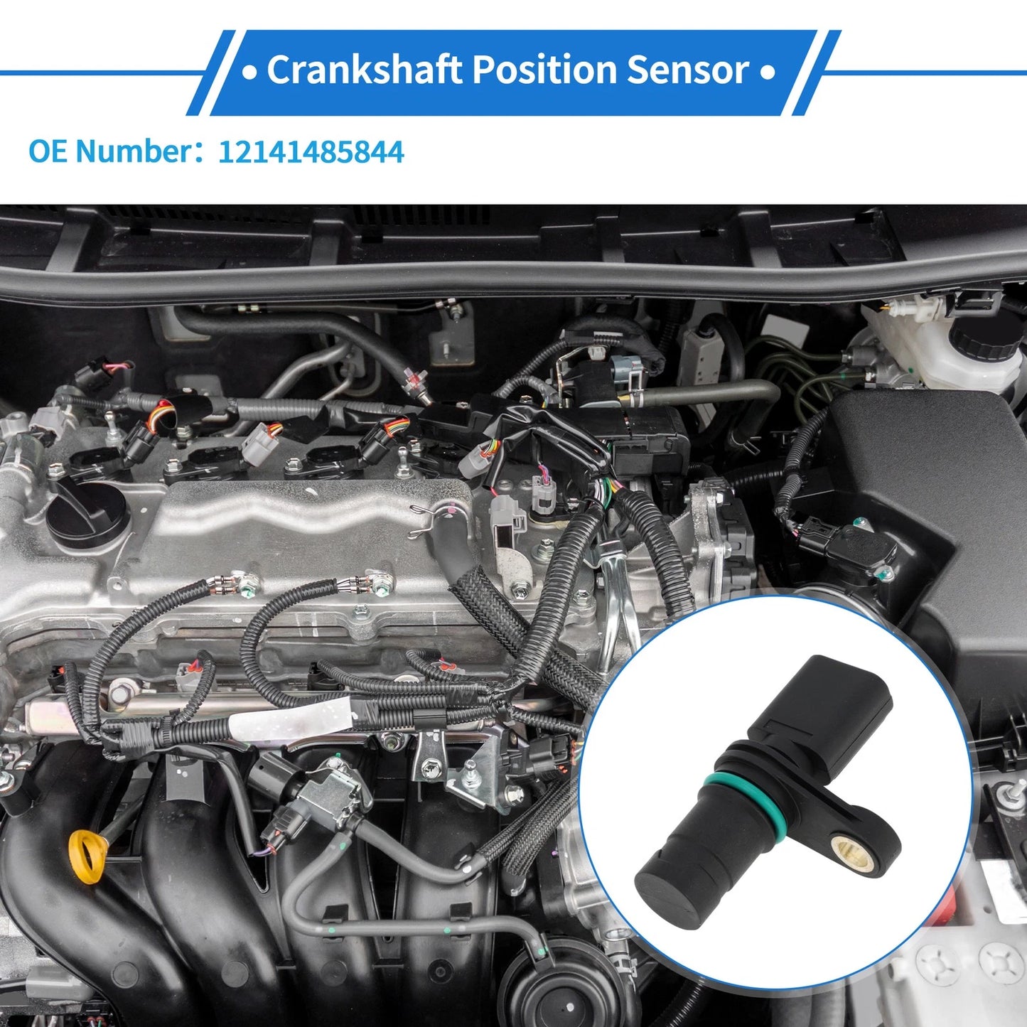 Crankshaft Position Sensor for MINI R50 R53 1.6 Cooper (2001-2006)
