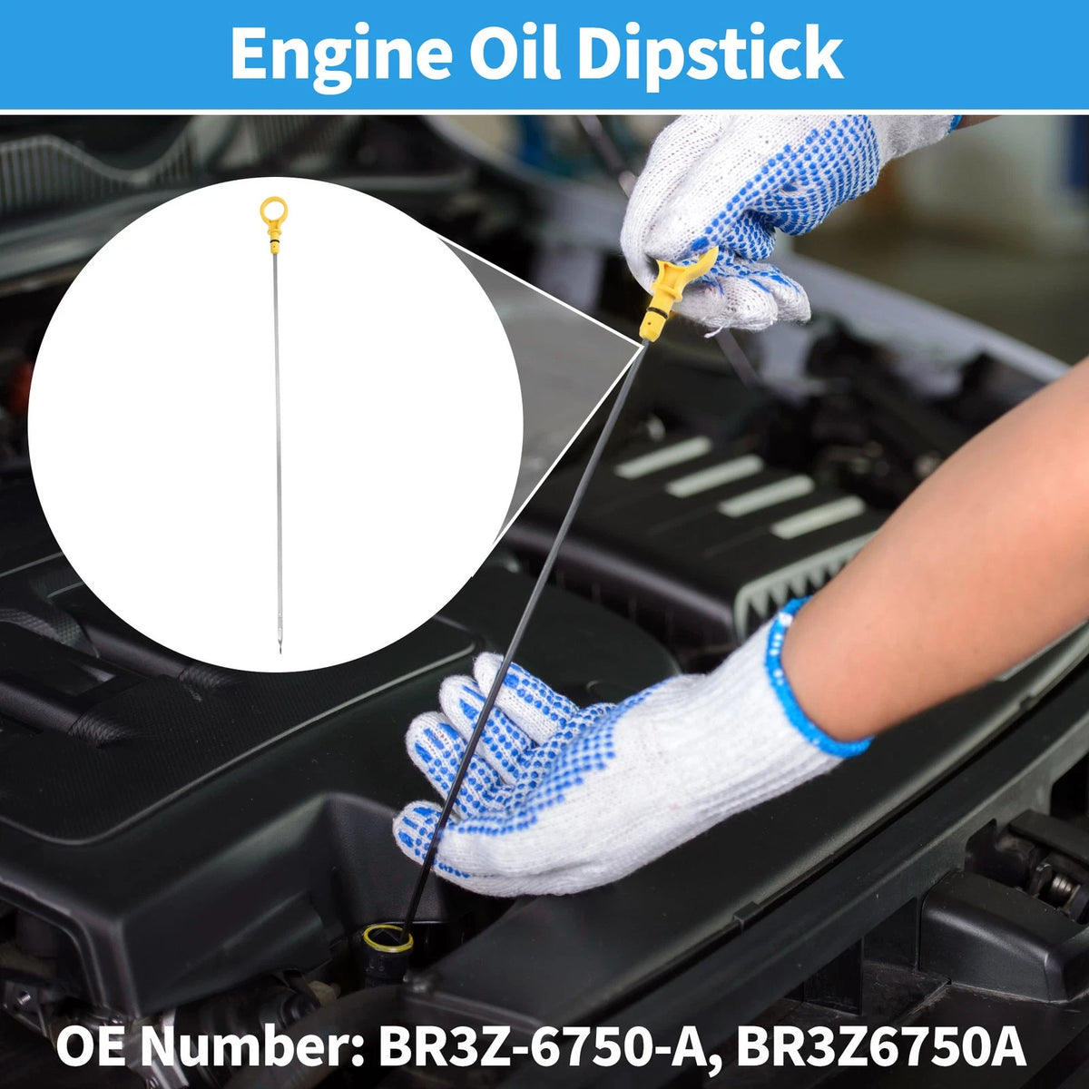 Engine Oil Dipstick for Ford F-150, Mustang Stainless Steel (2012-2014)