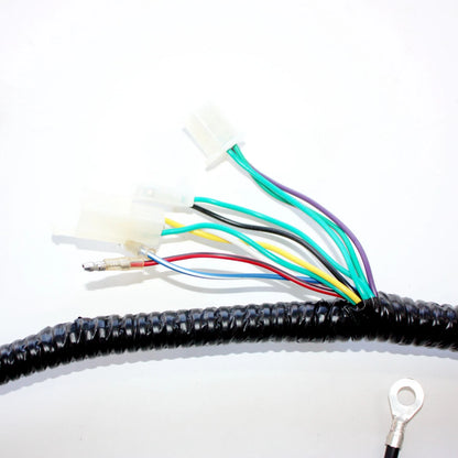 GY6 125cc 150cc Engine Wiring Harness Loom for Quad Bike ATV Buggy
