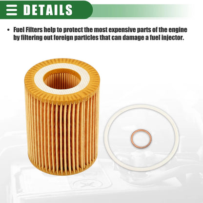 Engine Oil Filter & Fuel Filter for BMW F20 (2010-2015)