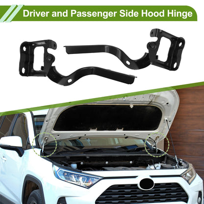 Hood Hinges / 1 Pair / Hood Hinges for Toyota Prius (2010–2015)