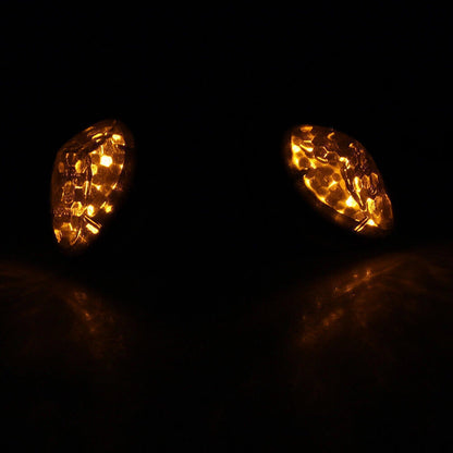 Turn Signal Lights for Honda CBR 600 1000RR CBR954 CBR929 (2002-2013)