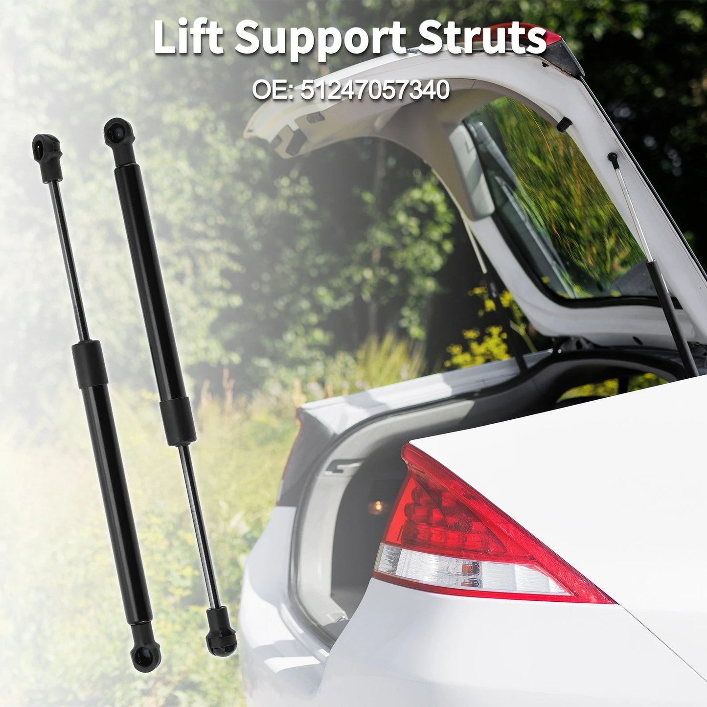 Rear Hatch Lift Supports for BMW 645Ci (2004-2005)