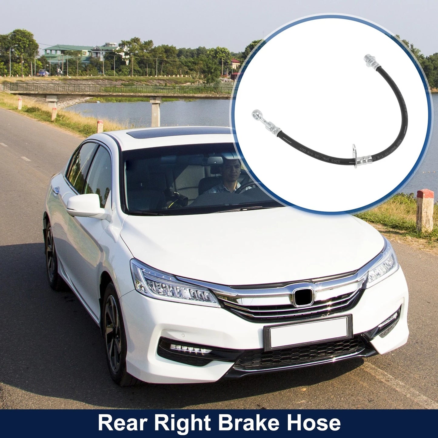Rear Right Brake Hose for Honda Accord (2013-2017)