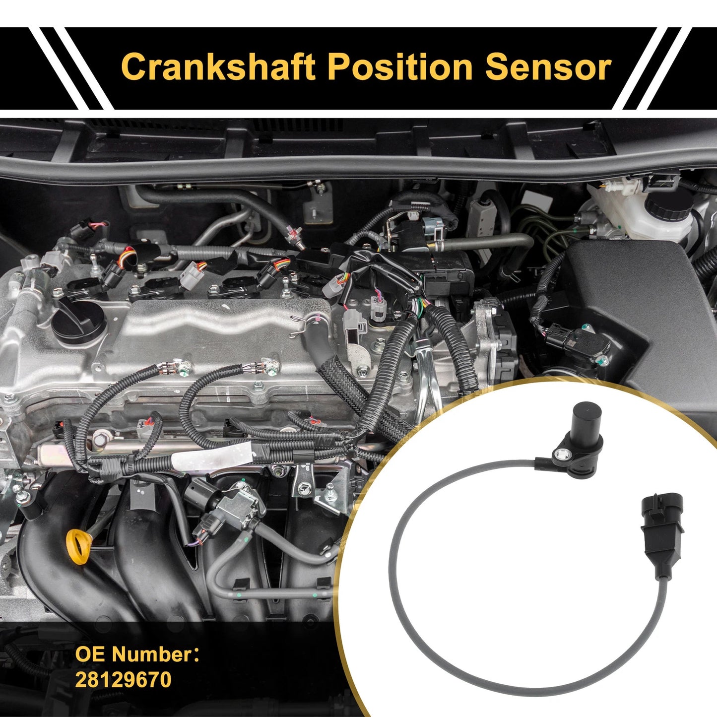 Crankshaft Position Sensor for ISUZU Rodeo (1999-2003)
