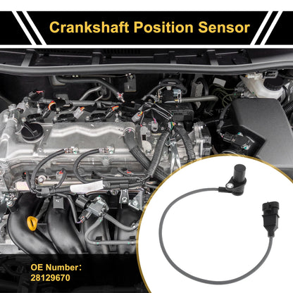 Crankshaft Position Sensor for ISUZU Rodeo (1999-2003)