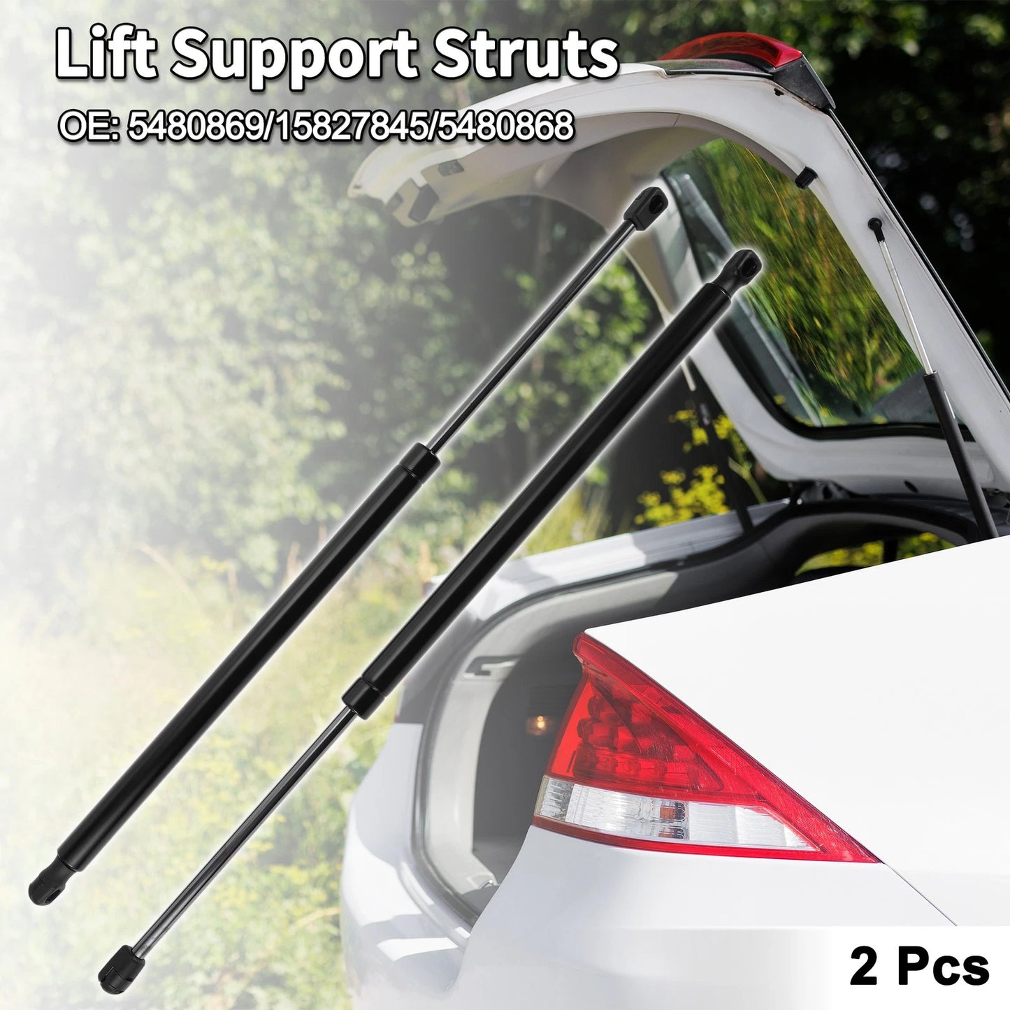 Rear Hatch Lift Supports Struts for Chevrolet Equinox