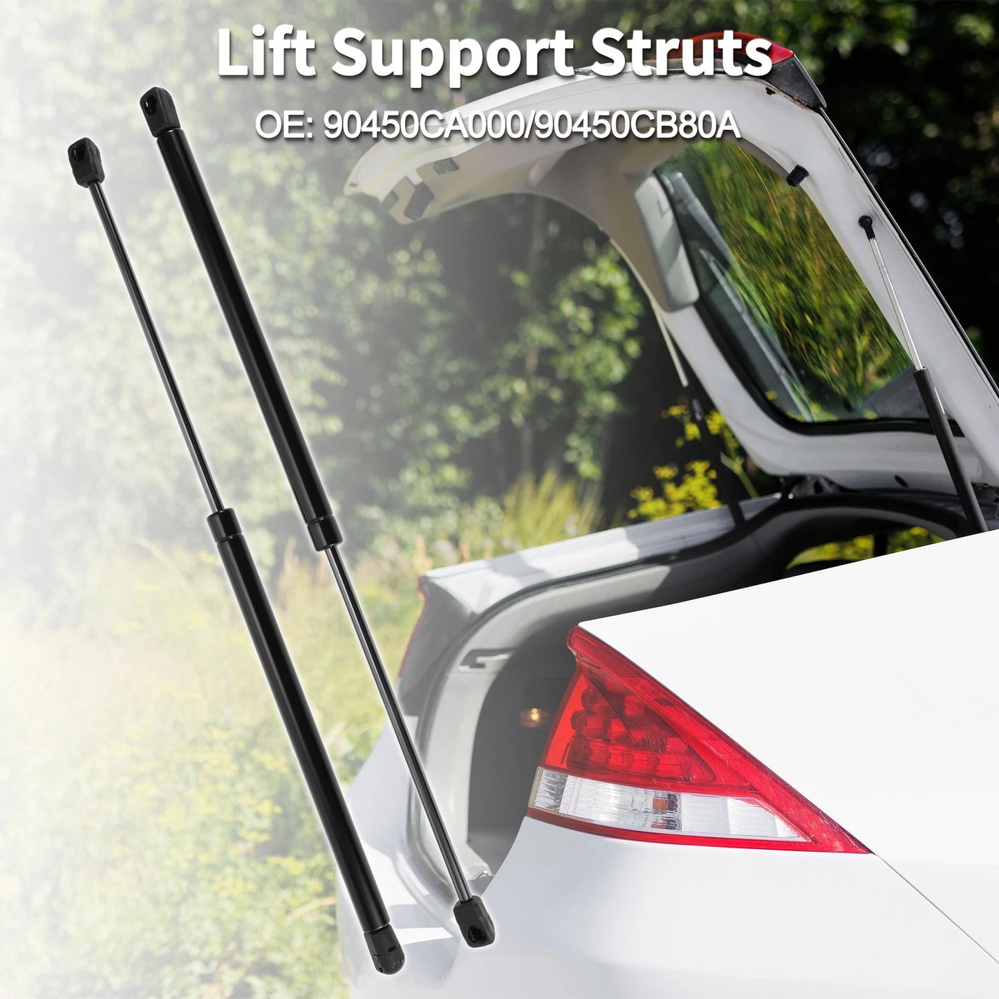 Rear Hatch Lift Supports for Nissan Murano (2003-2022)