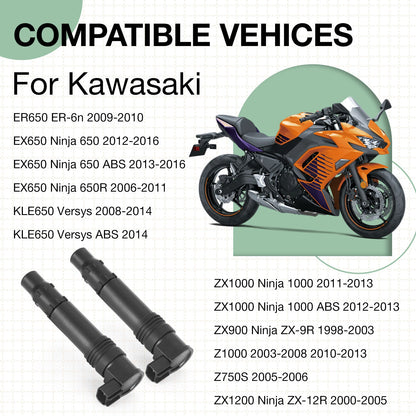 2 x Ignition Coils for Kawasaki ER-6N ER650 (2009–2010)