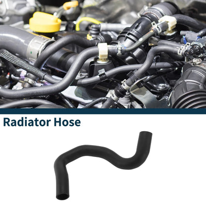 Lower Radiator Hose for Toyota RAV4 (2020-2023)