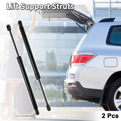 Rear Gate Lift Supports Struts for Dodge Magnum (2005-2010)