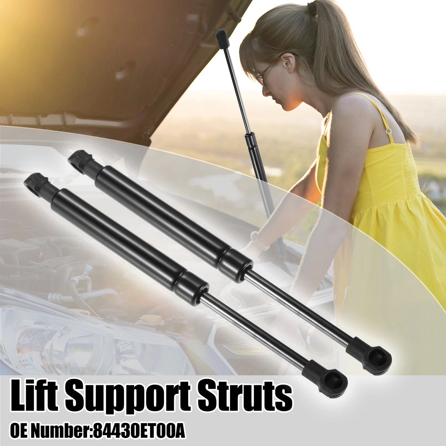 Rear Trunk Lift Support Struts for Nissan Sentra (2007-2012) Black