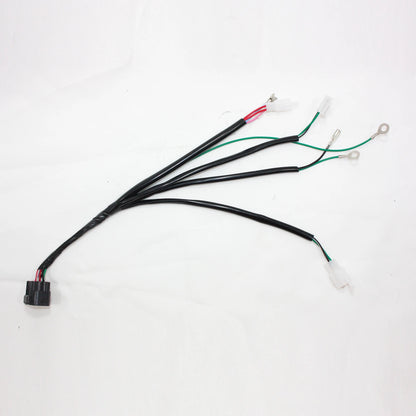 Complete Wire Harness for YX 160CC 4 Valve Engine PITPRO Dirt Bike